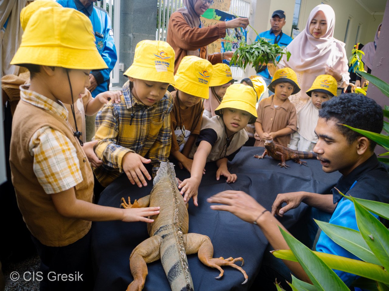 CIS Preschool Animal Day