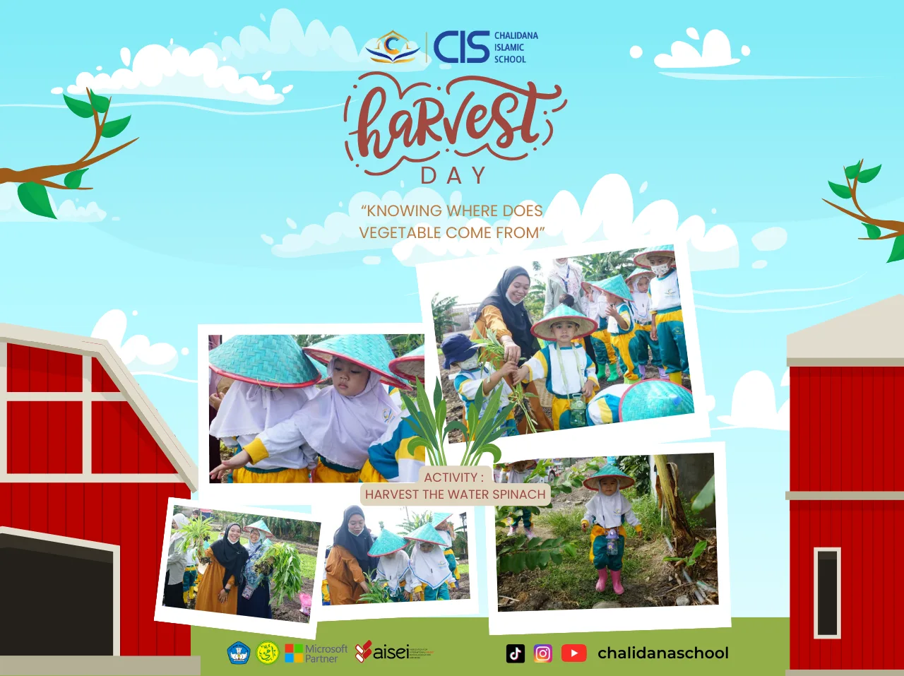 Harvest Day : “Knowing where does vegetable come from”