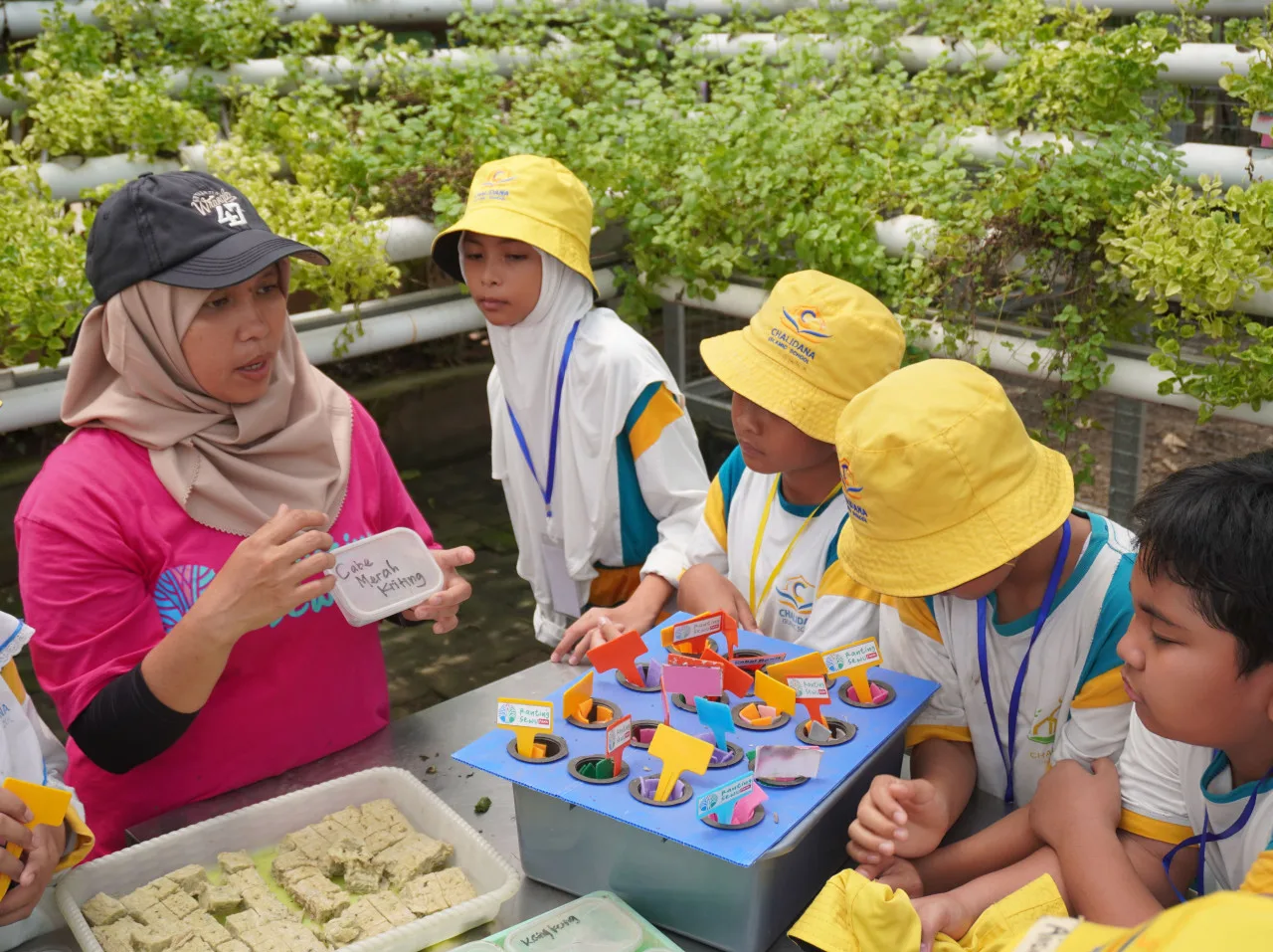 CIS Primary Sidoarjo Field Trip to Ranting Sewu Park, Prigen