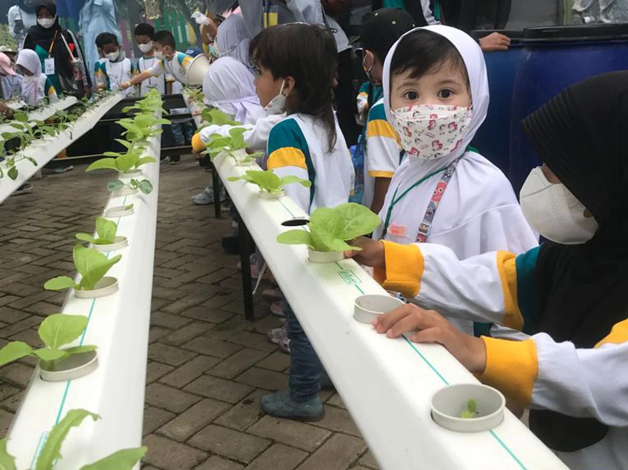 Preschool Field Trip - Kebun Pak Budi