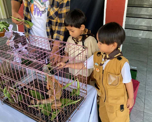 Animal Day