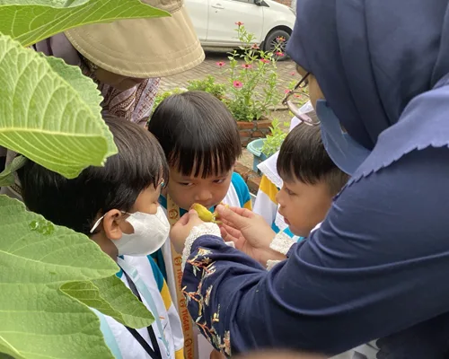 Harvest Day Preschool Juanda