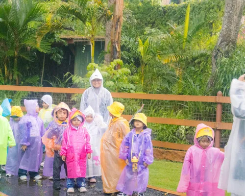 Field Trip CIS Preschool Gresik to Taman Safari Prigen