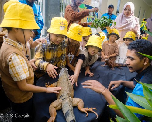 Animal Day CIS Preschool gresik