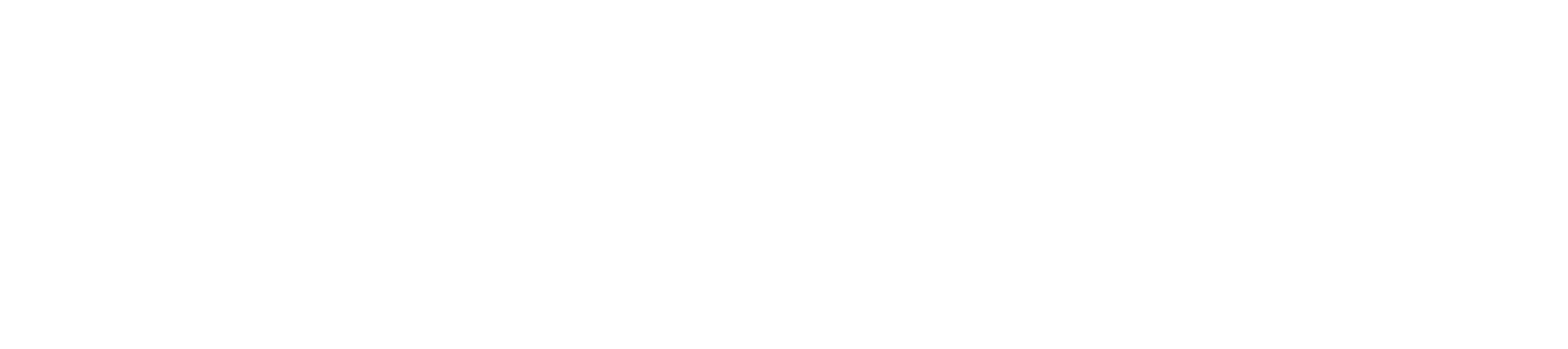 CIS Branding Logo (White Version)