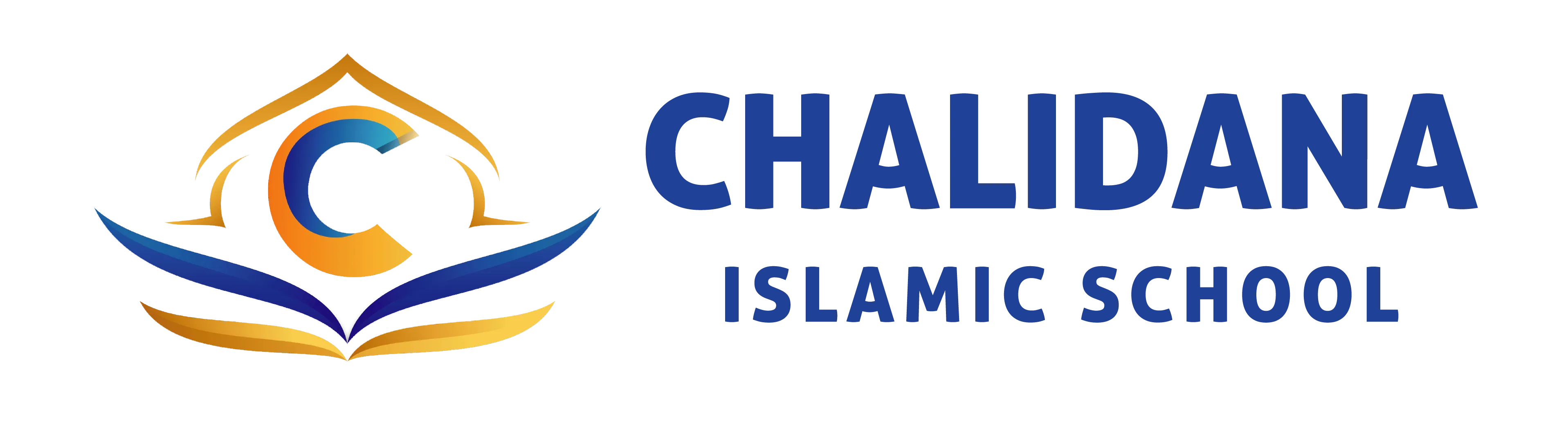 CIS Horizontal Logo (No Shadow)