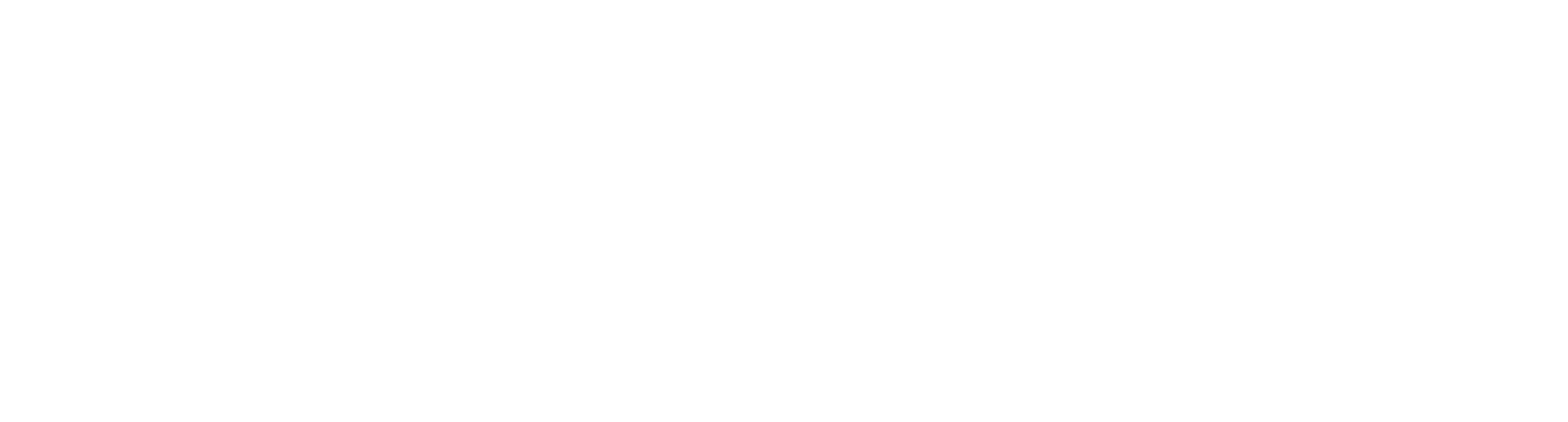 CIS Horizontal Logo (White Version)