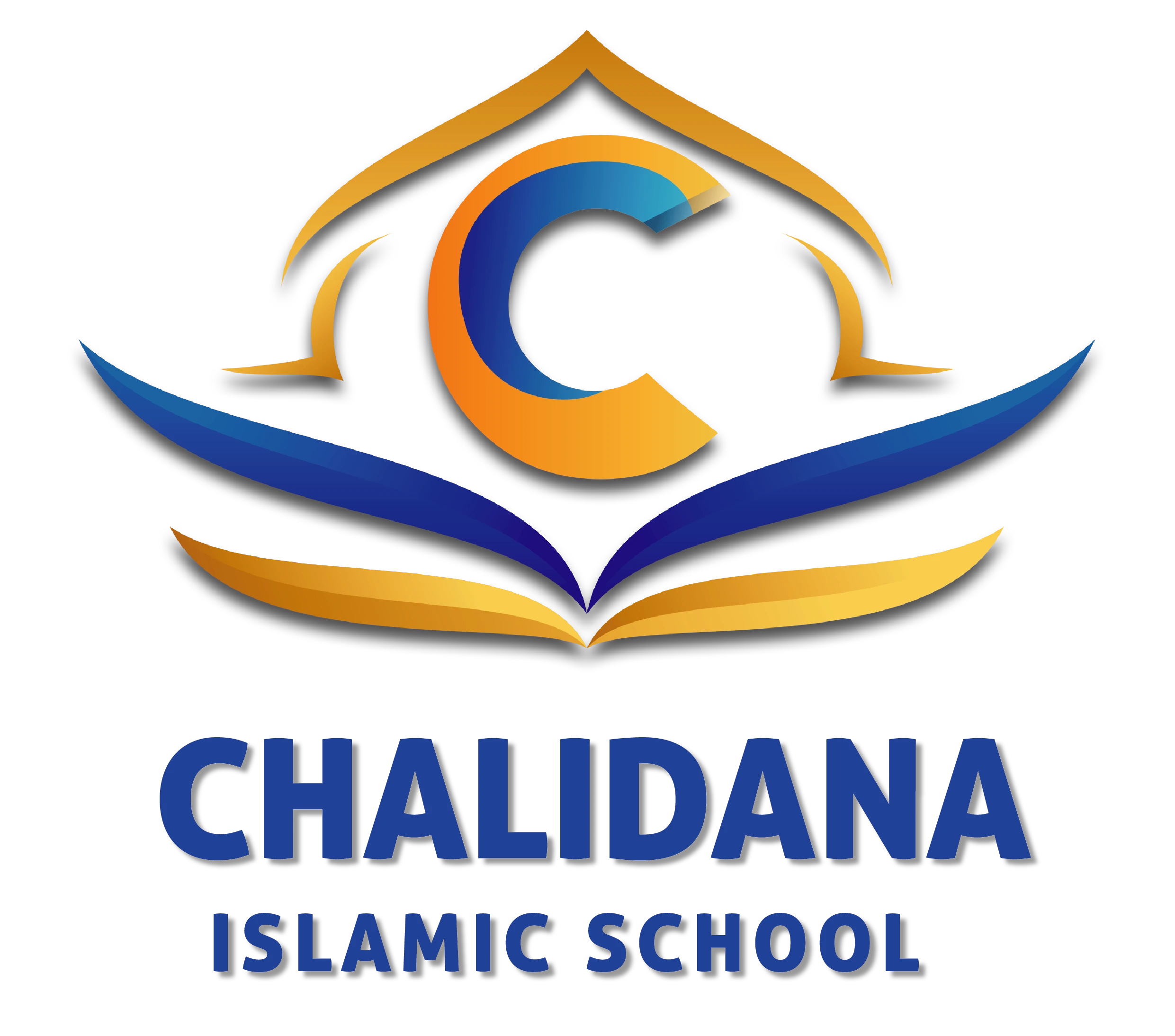 CIS Logo
