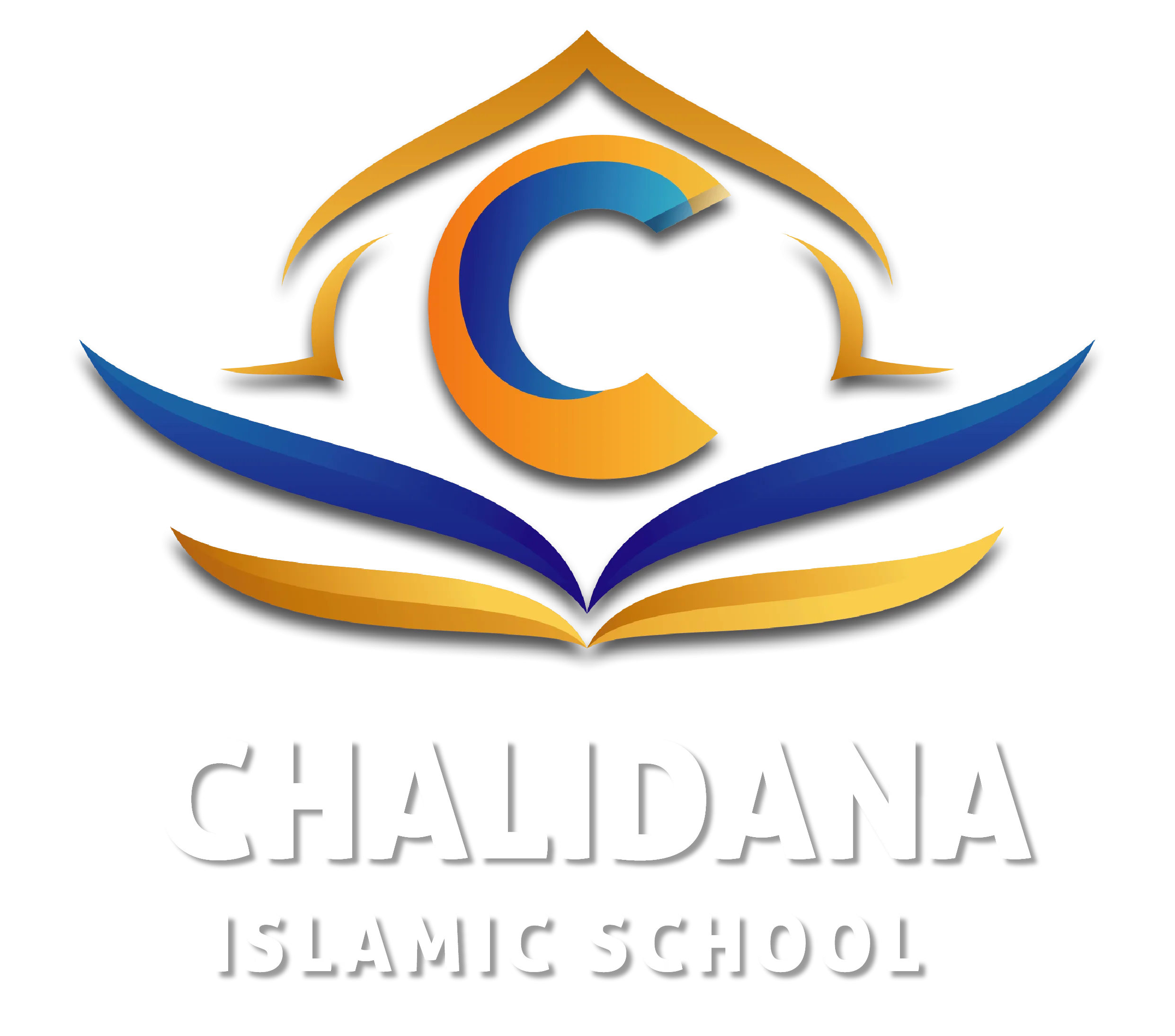 CIS Logo (White Text)