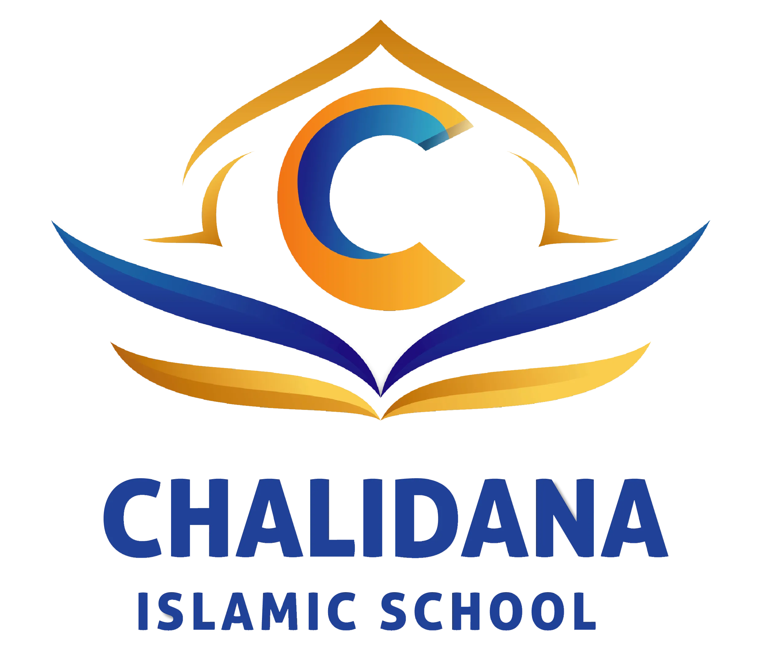 CIS Logo (No Shadow)