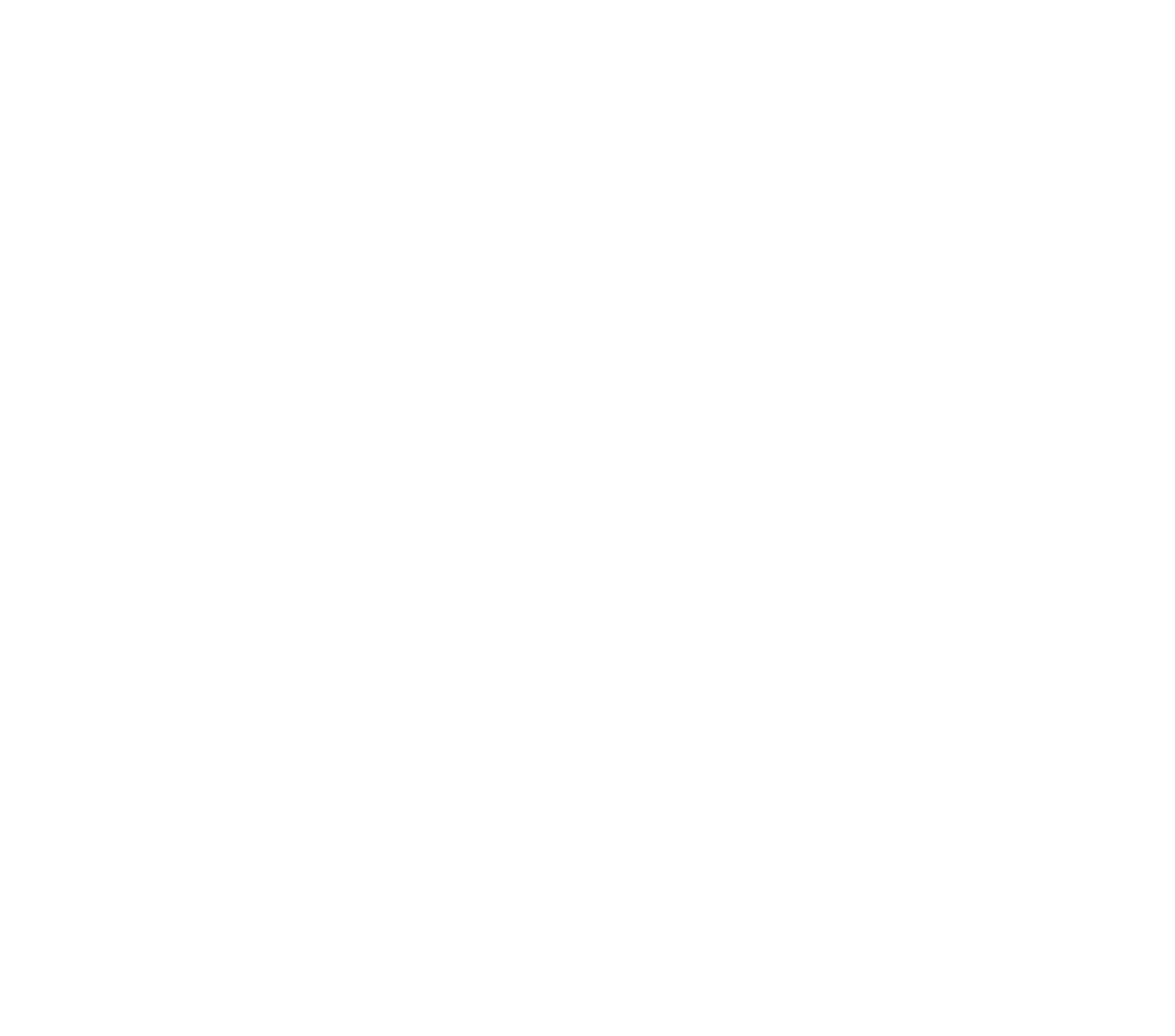 CIS Logo (White Version)