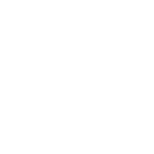 Local Partners